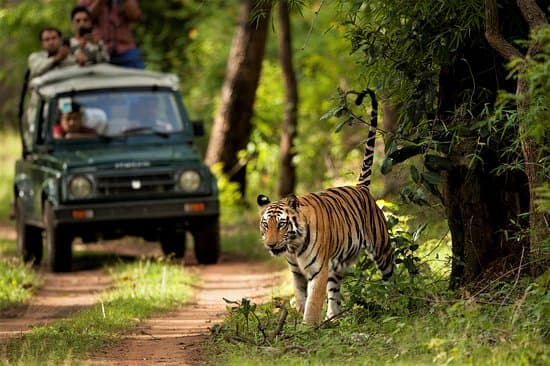 Himalayan road trip